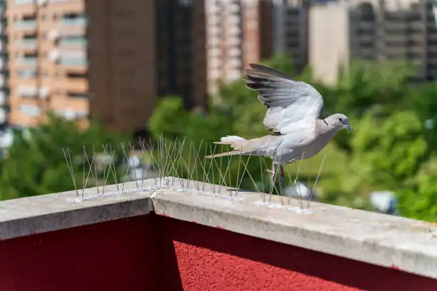 شركة تركيب طارد حمام