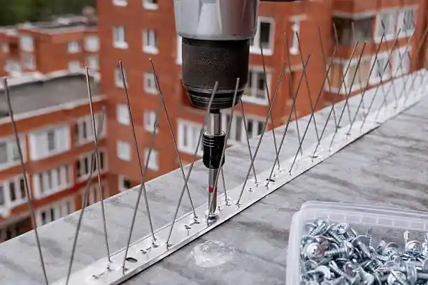 شركة تركيب طارد حمام istockphoto 2222558163 612x612